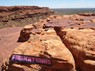 Freakatronic Sticker in Australia - Kings Canyon - Thx Chris!